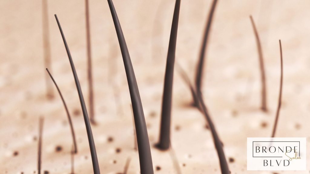 The Science of Hair Growth Unveiled