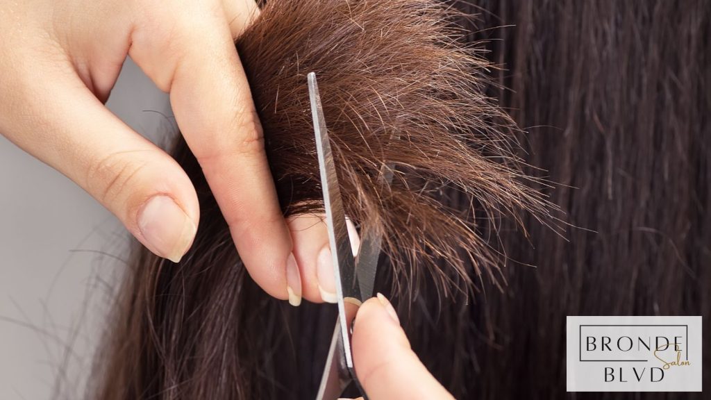 The Science of Hair Growth Unveiled