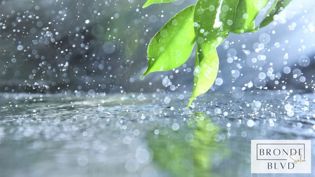 Weather-Proof Your Hair with These Essential Tips