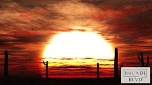 The Truth About Sun Damage and Your Hair Color