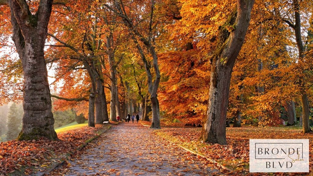 Summer to Fall Color Transition Guide