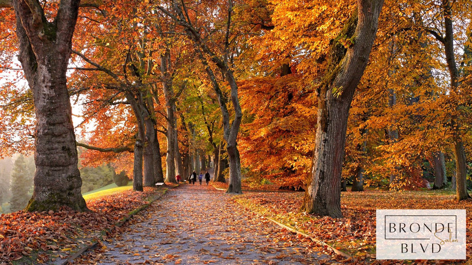 Summer to Fall Color Transition Guide