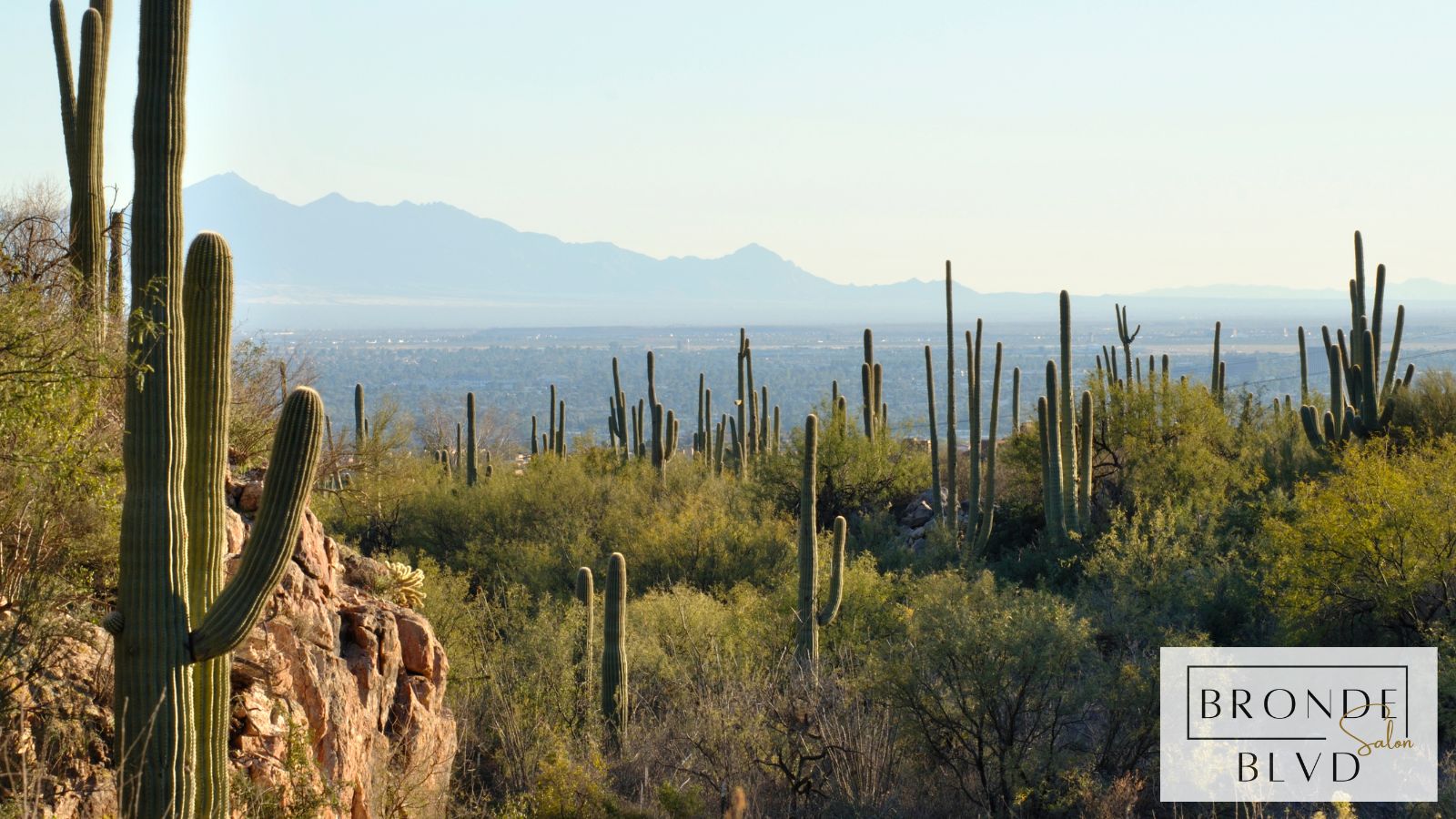Understanding Moisture Balance in Arizona Summers