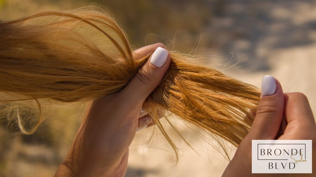 Understanding Moisture Balance in Arizona Summers