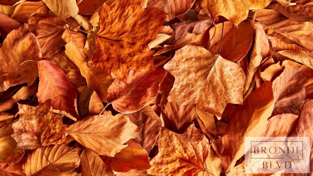 Fall Hair Color Trends: Rich Tones for the Season